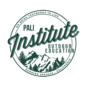 images/Clients/PaliInstitute_Clients_SoundsEssential_350x350.png#joomlaImage://local-images/Clients/PaliInstitute_Clients_SoundsEssential_350x350.png?width=300&height=300