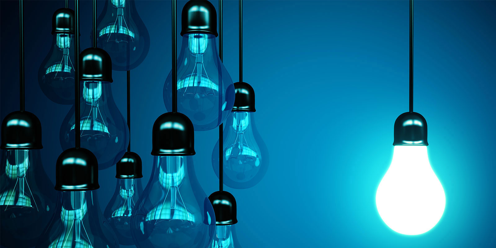 Be the Brightest Bulb